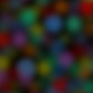 Meet your Posher, Isabella